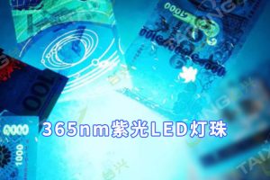 365紫光灯灯珠如何选择：你知道吗？365紫光灯珠也有直插式和贴片式之分！